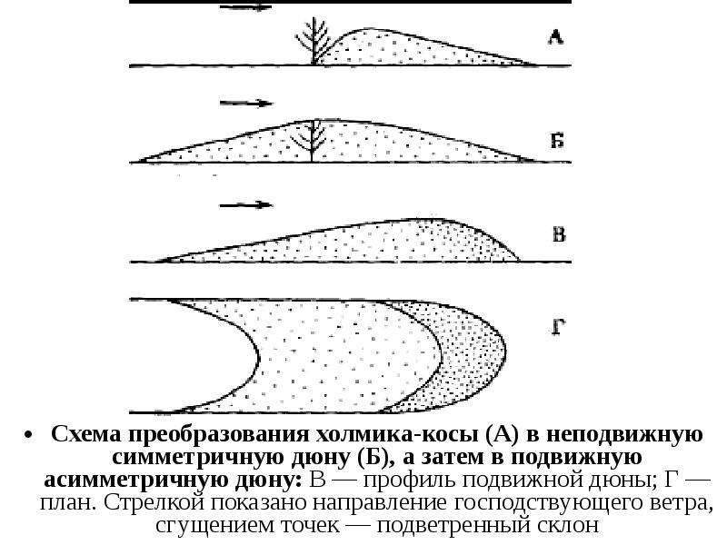 Презентация геологическая деятельность ветра