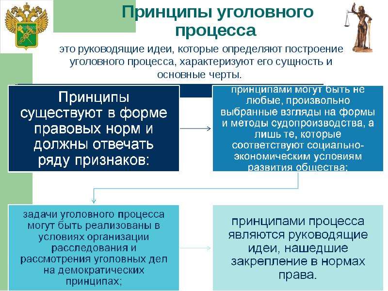 Схема система принципов уголовного судопроизводства