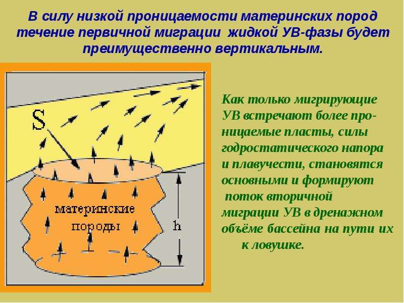 Миграция ув. Латеральная миграция ув. Начальная фаза первичной и вторичной миграции. Вторичная миграция ув ppt. Изобразите схему первичной и вторичной миграции ув.