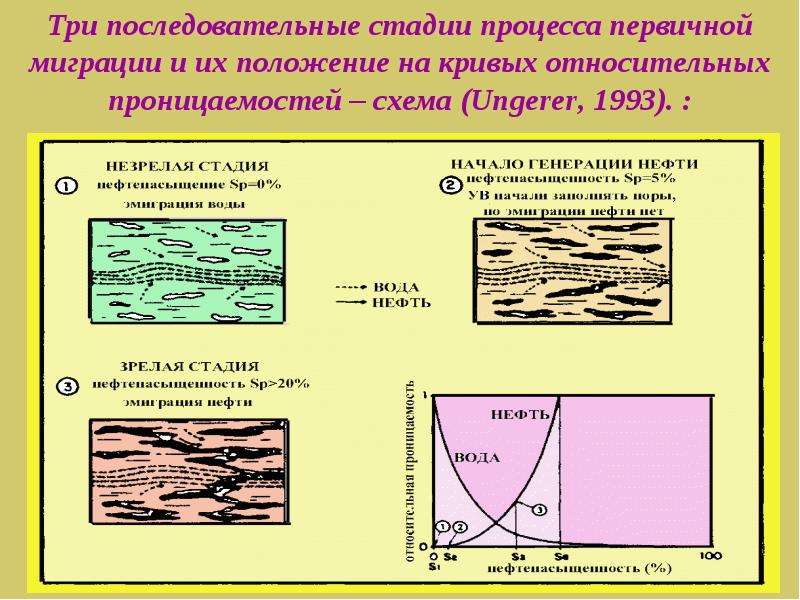 Миграция ув. Три последовательные фазы. Начальная фаза первичной и вторичной миграции. Последовательные стадии эксперимента. Струйная миграция ув.