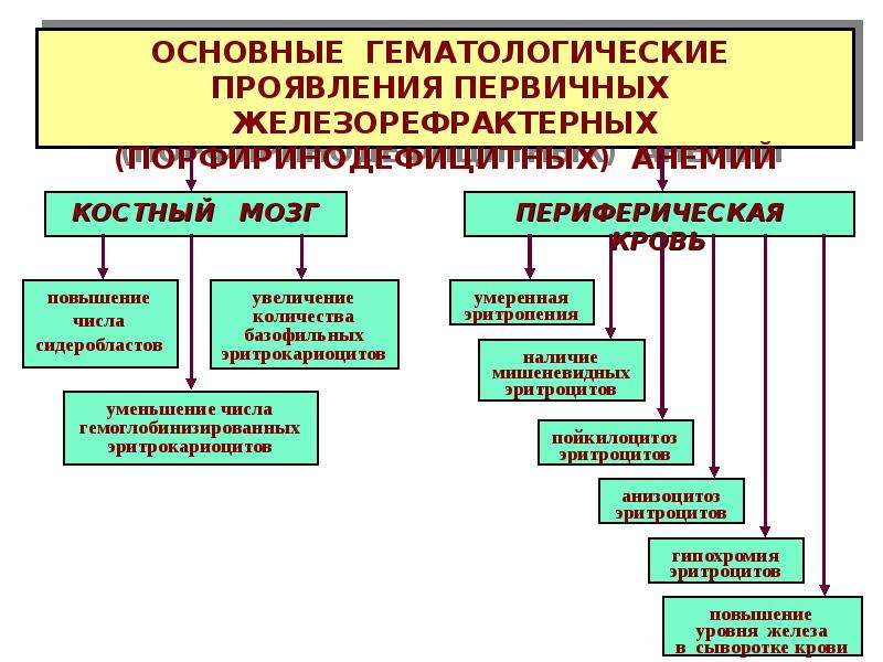 Патофизиология системы крови презентация