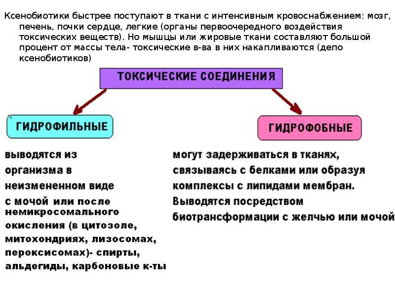 Ксенобиотики. Гидрофобные ксенобиотики. Виды ксенобиотиков. Выведение ксенобиотиков. Ксенобиотики примеры.