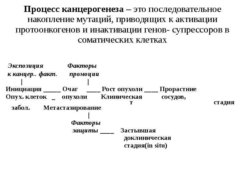 Патогенетическая схема химического механизма канцерогенеза