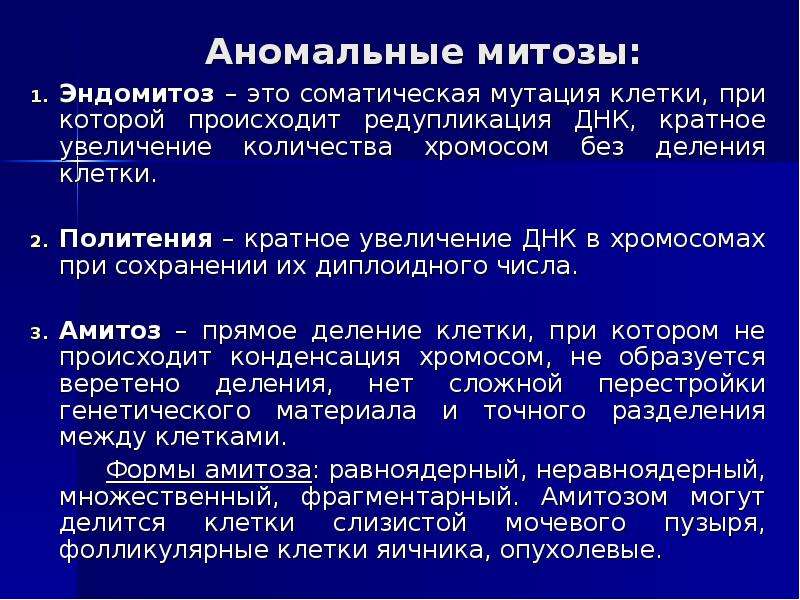 Реферат: Амитоз, его особенности. Эндомитоз. Политения