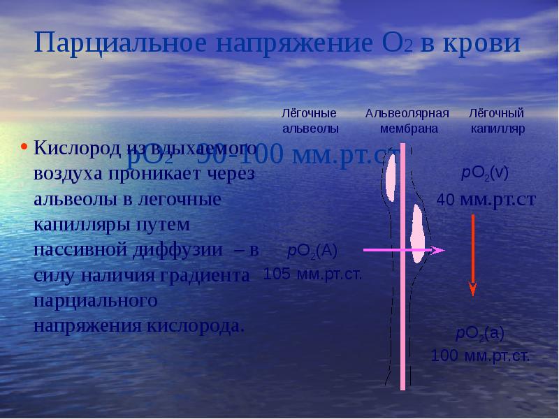 Парциальный кислород