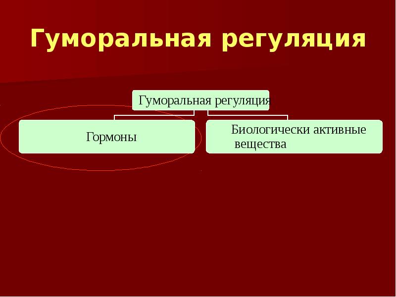 Основная регуляция. Гуморальная регуляция гормоны. Гуморальная регуляция деятельности организма. Гуморальная регуляция у растений. Гуморальная регуляция у простейших.