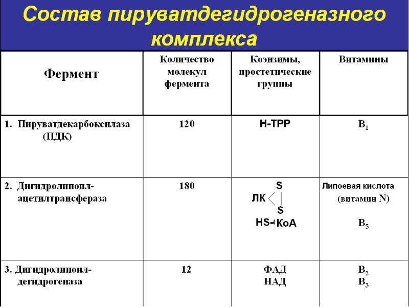 Метаболизм түрлері презентация