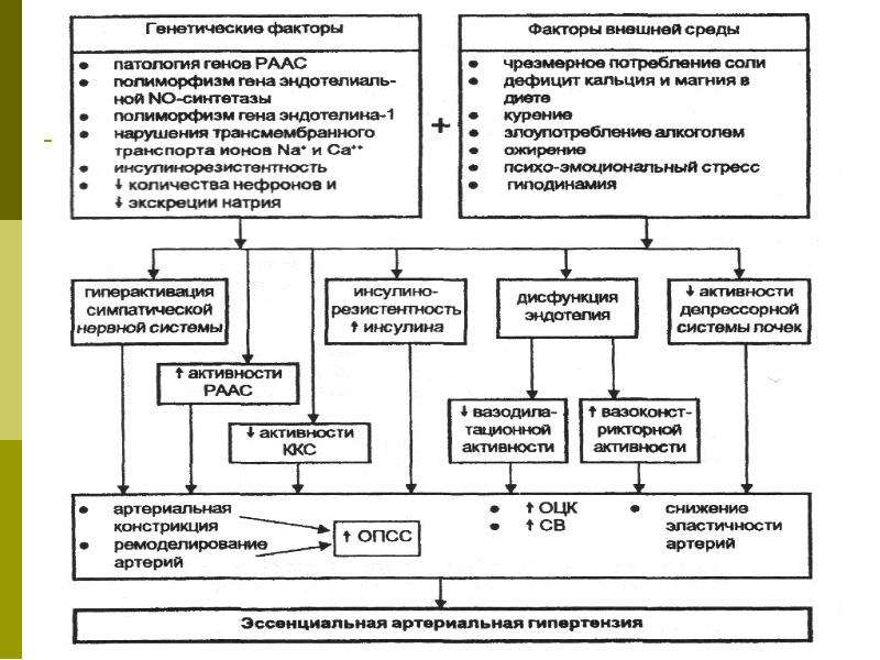 Патофизиология артериальной гипертензии презентация