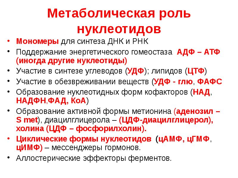 Процентное содержание нуклеотидов в днк