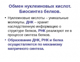 Обмен нуклеиновых кислот. Биосинтез белков