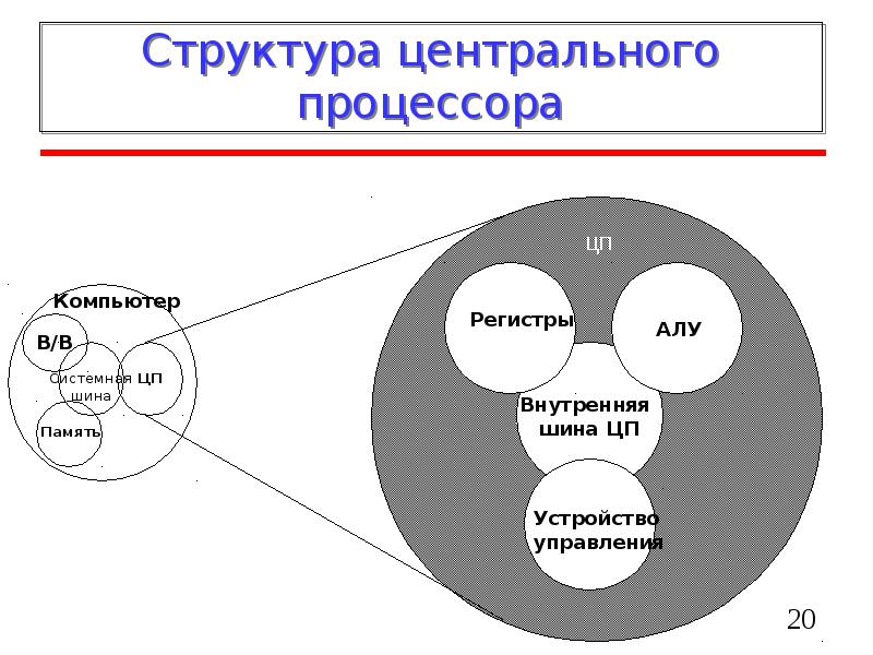 Структура центрального