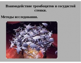 Тромбоциты, функция,диагностика