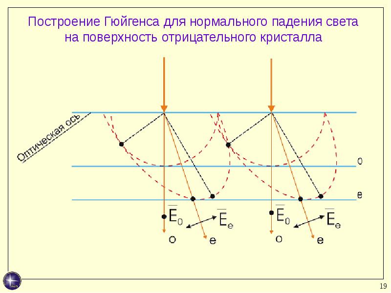 На рисунке изображены волновые поверхности о и е лучей в одноосном кристалле