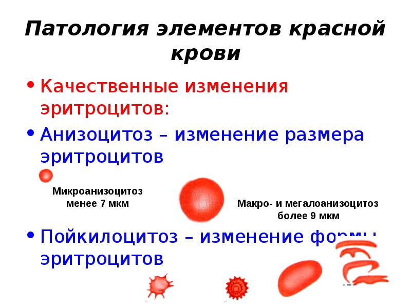 Изменение клеток крови. Анизоцитоз формы эритроцитов. Пойкилоцитоз формы эритроцитов. Классификация патологических форм эритроцитов. Изменение формы и размеров эритроцитов.