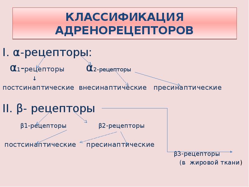 Альфа адренорецепторы локализация. Альфа 1 адренорецепторы локализация. Классификация адренорецепторов. Классификация адренергических рецепторов. Классификация адренергических средств.