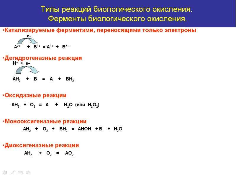 Современная схема биологического окисления