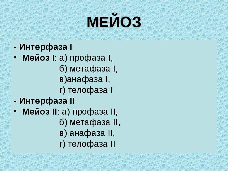 Интерфаза 2 мейоза. Процессы в интерфазе мейоза. Интерфаза мейоза 2. Интерфаза мейоза 1. Интеркинез мейоза.