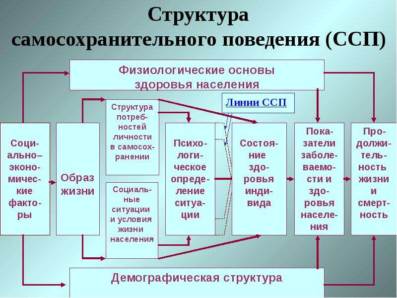 Структура поведения. Структура самосохранительного поведения. Мотивация больных к самосохранительному поведению. Самосохранительное поведение населения. Структура жизни.