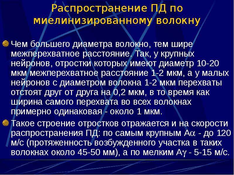 Распространение Пд по миелинизированному отростку. Миелинизированные волокна. Надежность распространения Пд.