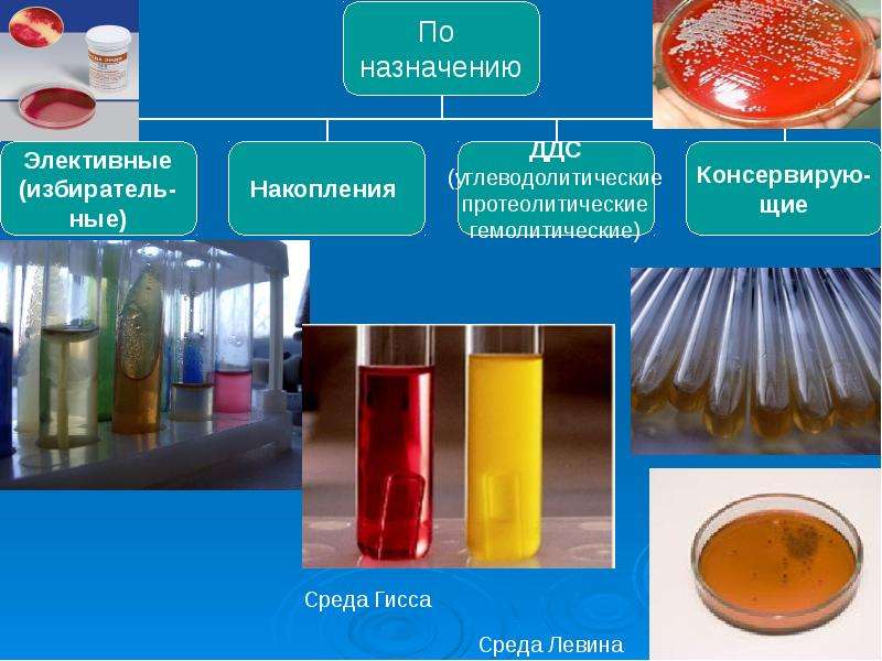 Среда д. Питательная среда Левина. Среда Левина микробиология. Среда Левина состав. Шигеллы на среде Левина.