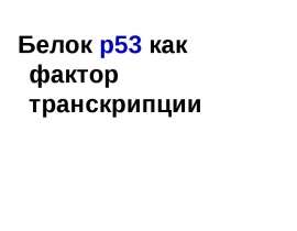 Белок Р- 53