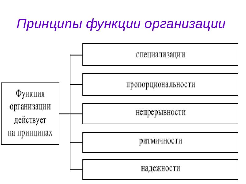 Принципы и функции менеджмента презентация