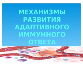 МЕХАНИЗМЫ АДАПТИВНОГО ИММУННОГО ОТВЕТА