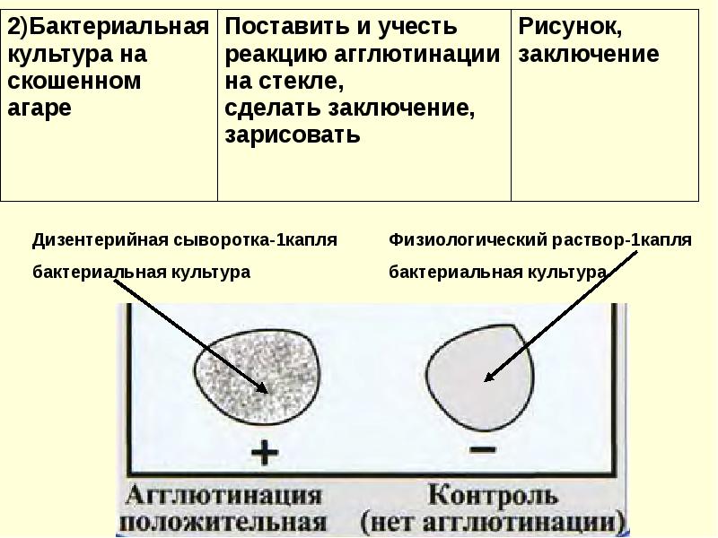 Реакция агглютинации микробиология презентация