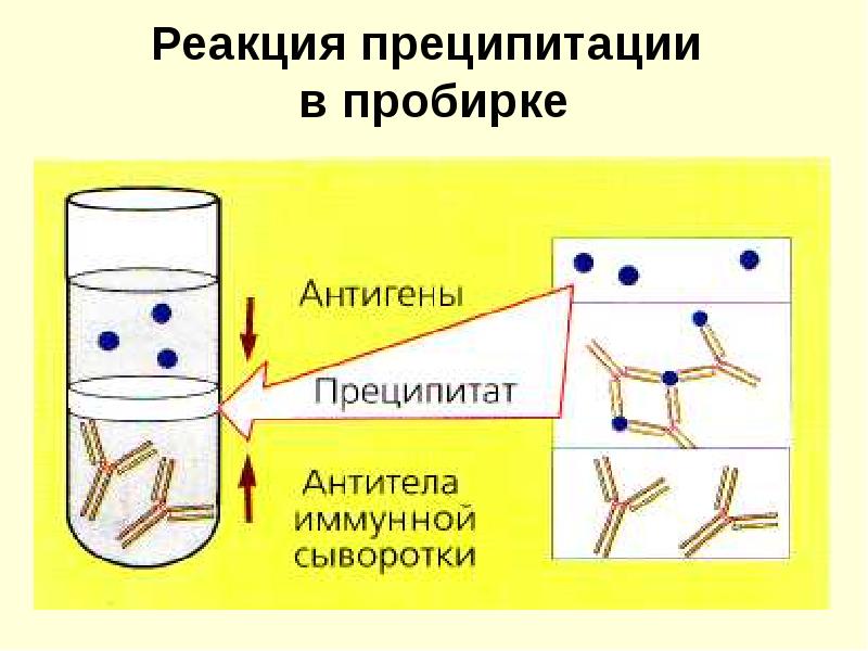 Реакция преципитации схема