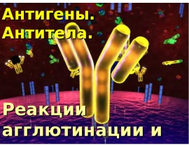 Антигены. Антитела. Реакции агглютинации и преципитации.