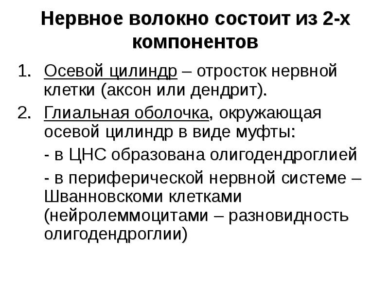 Законы нервной системы. Нервные волокна презентация. Нервное волокно состоит из. Лабильность нервного волокна. Периферические нервные волокна.