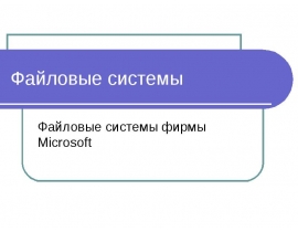 Файловые системы FAT 2009