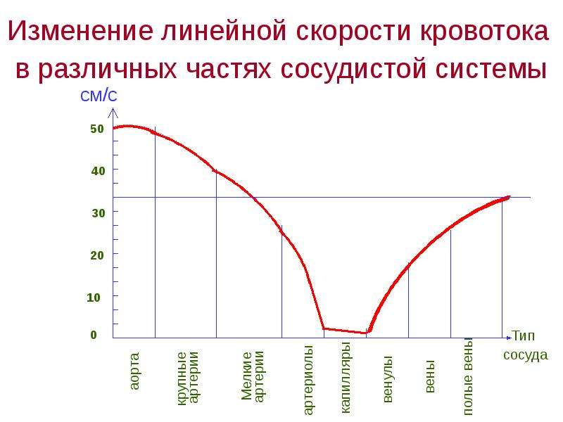 Изменяемой скоростью. График изменения линейной скорости кровотока. Объемная скорость кровотока график. Изменение линейной скорости кровотока в сосудистом русле. Линейная скорость кровотока график.