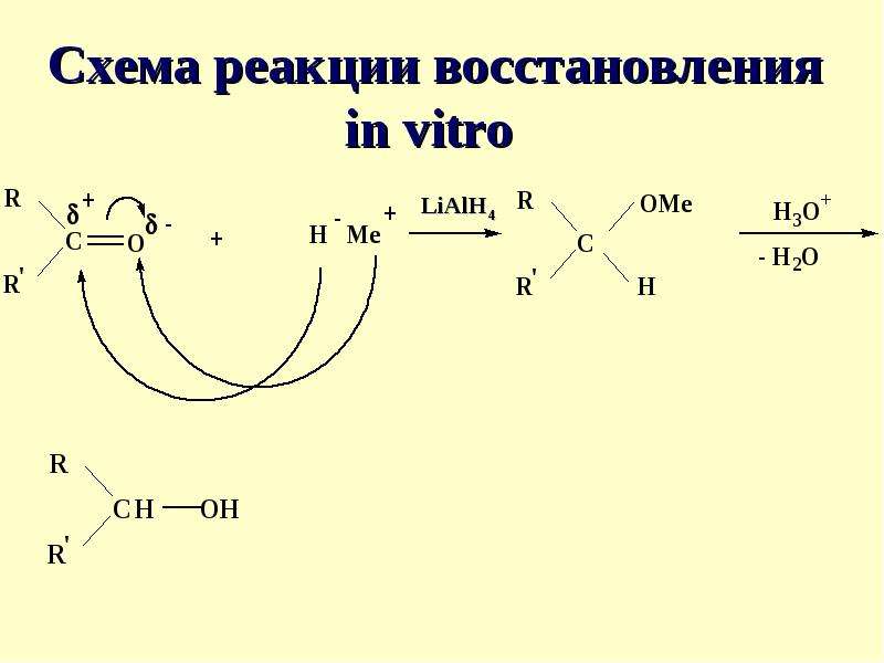 Реакция in vivo. Схема реакции восстановления. Схема реакции окисления in vitro. Схема реакции окисления in vivo in vitro. Схема реакции окисления in vivo.