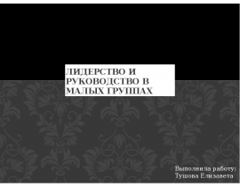 Лидерство и руководство в малых группах
