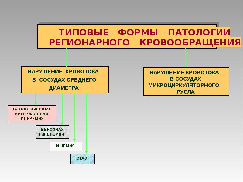 Нарушение периферического кровообращения. Патофизиология периферического кровообращения. Нарушение периферического кровообращения классификация.