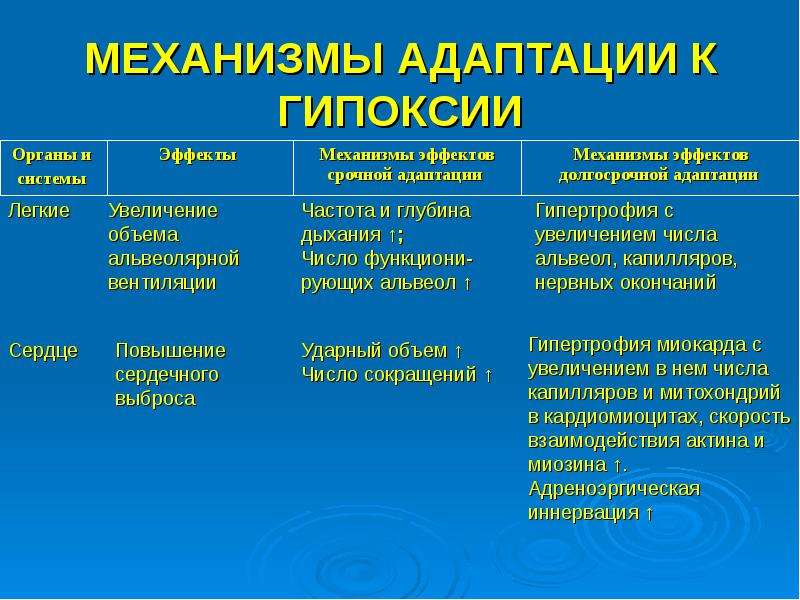 Адаптация организма к гипоксии презентация