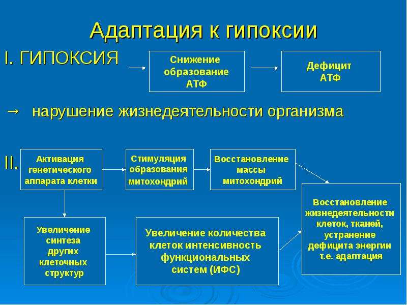 Презентация гипоксия по патологии