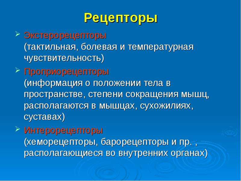 Рецепторы чувствительности. Экстерорецепторы это рецепторы. Экстерорецепторы располагаются в. Восприимчивость рецепторов.