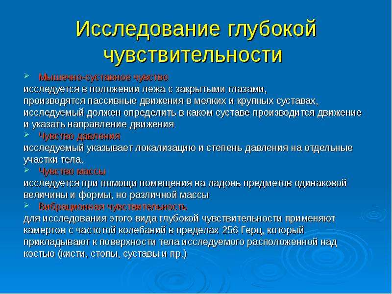 Чувствительность неврология презентация