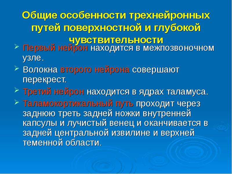 Пути глубокой и поверхностной чувствительности схема