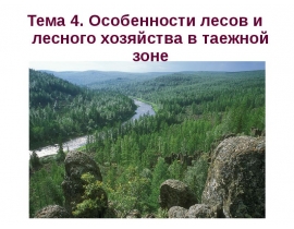 Особенности лесов и лесного хозяйства в таежной зоне