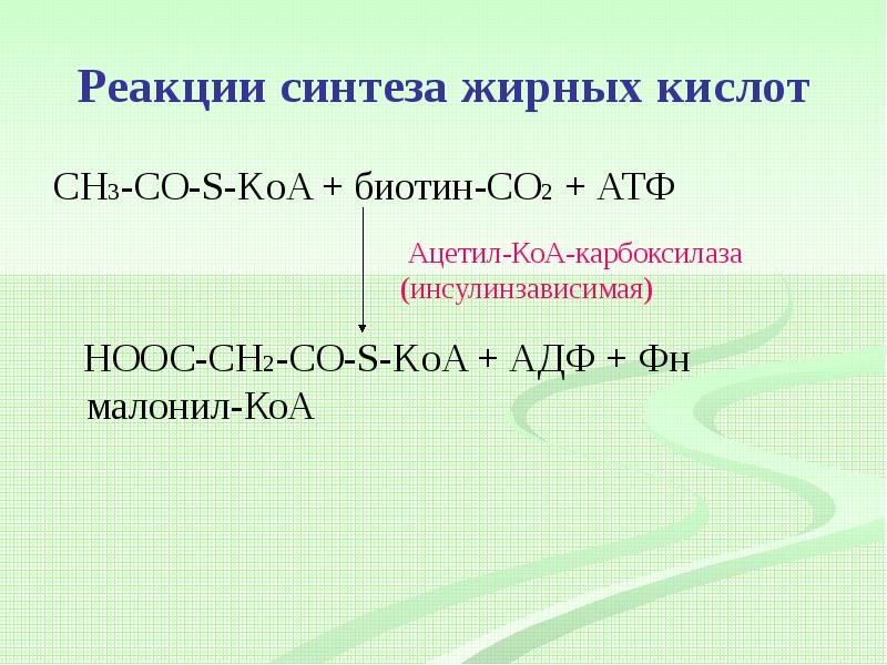 Реакция синтеза жиров. Ацетил КОА со2 АТФ. Биотин со2 АТФ. Ацетил КОА Синтез жирных кислот. Синтез малонил КОА.