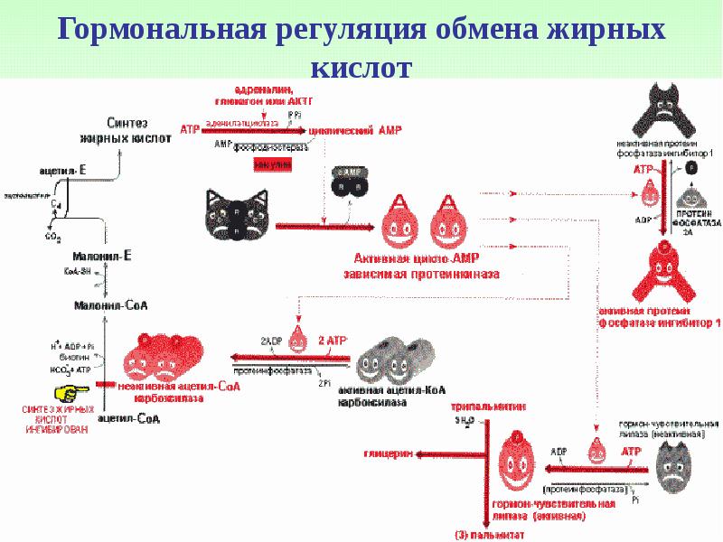 Что такое депонирование файла