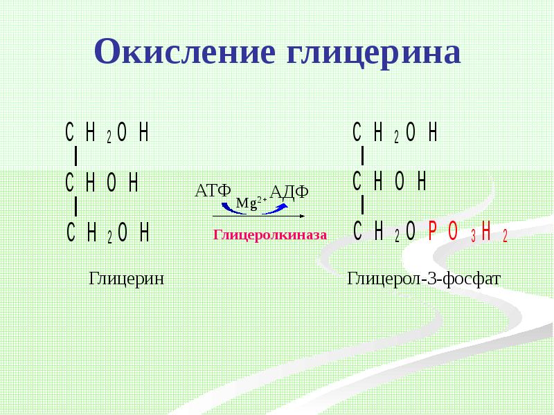 Схема окисление глицерина