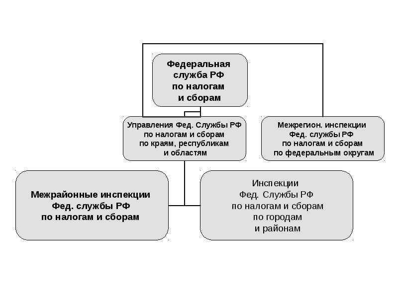 Организационная структура налоговой инспекции схема