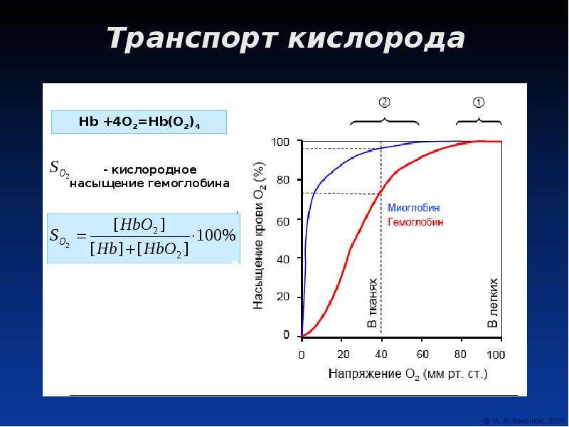 Транспорт кислорода