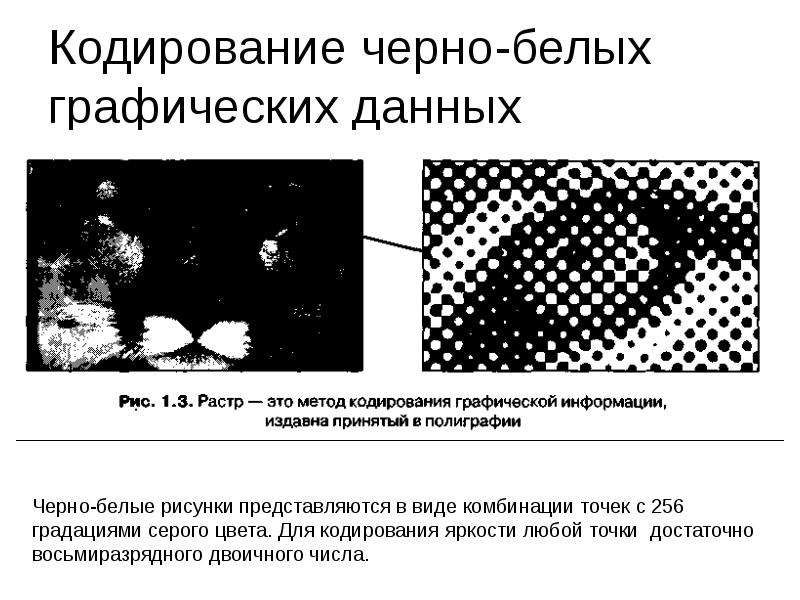 Кодирование черно белых изображений