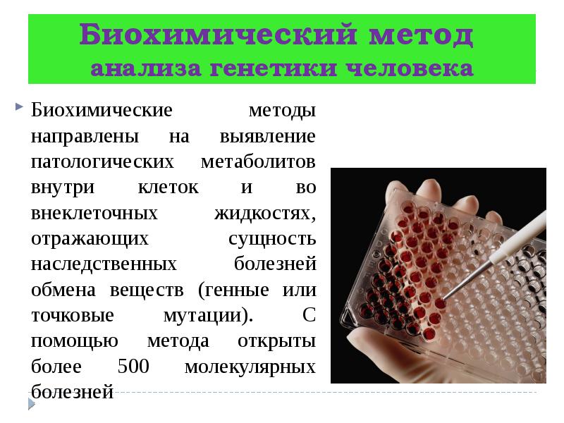 Презентация методы генетики человека 10 класс биология