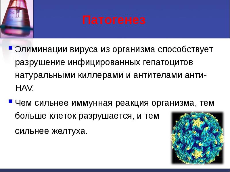 Презентация на тему гепатит а